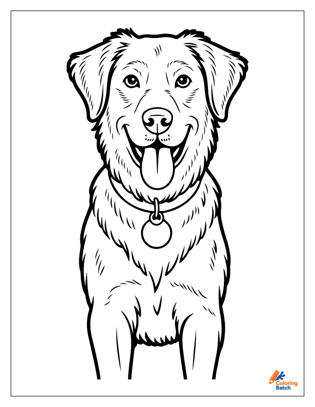 Golden Retriever Coloring Pages