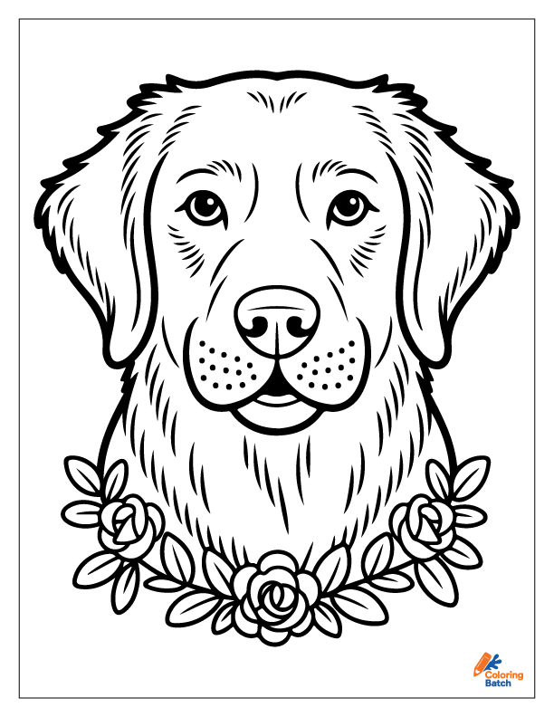 Golden Retriever Coloring Pages
