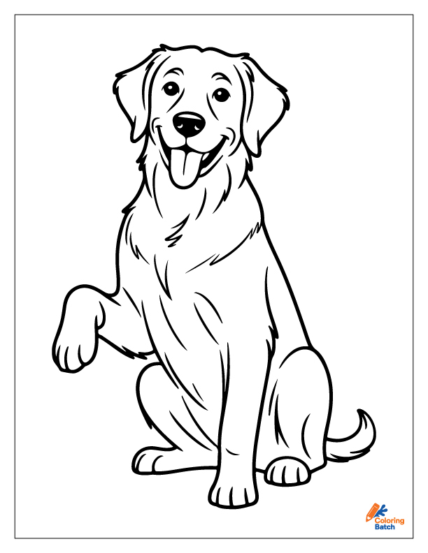 Golden Retriever Coloring Pages