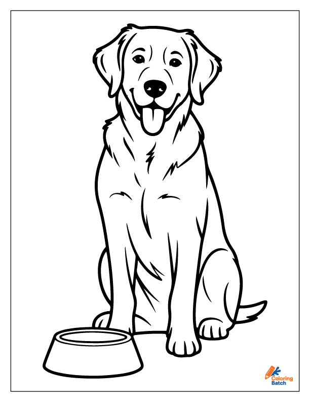 Golden Retriever Coloring Pages