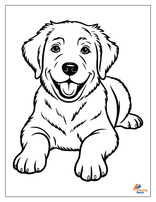 Golden Retriever Coloring Pages