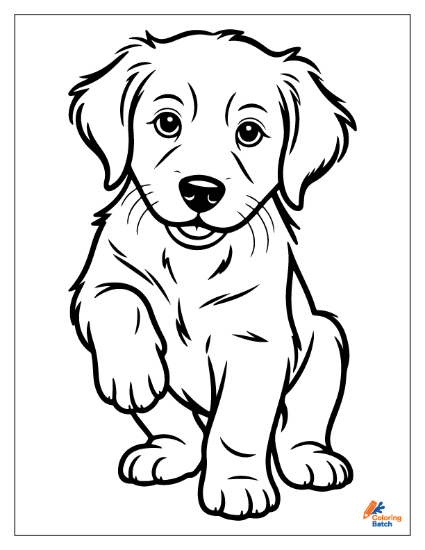 Golden Retriever Coloring Pages