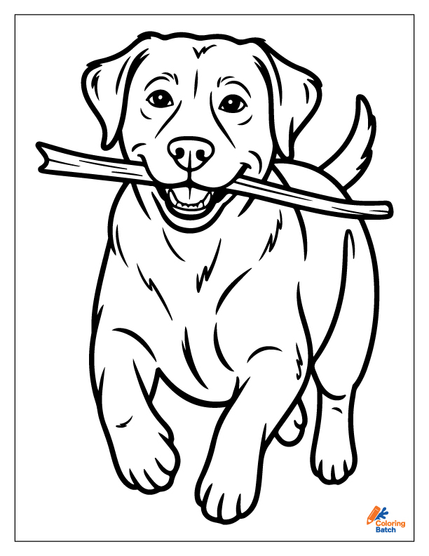 Golden Retriever Coloring Pages