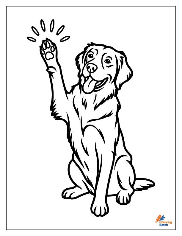 Golden Retriever Coloring Pages