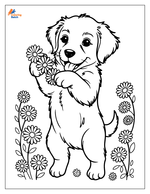 Golden Retriever Coloring Pages