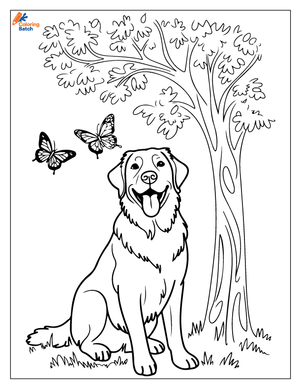 Golden Retriever Coloring Pages