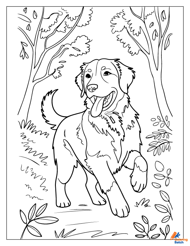 Golden Retriever Coloring Pages