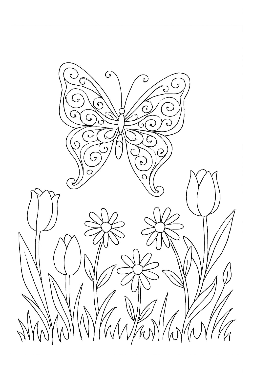 Butterfly Coloring pages