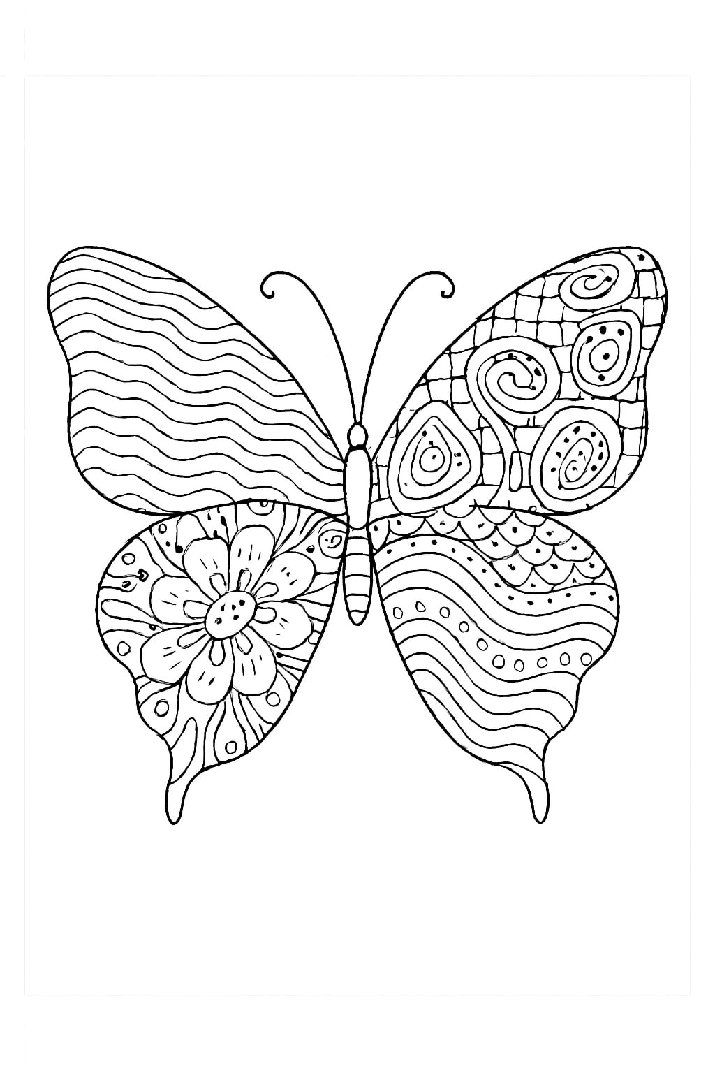 Butterfly Coloring pages