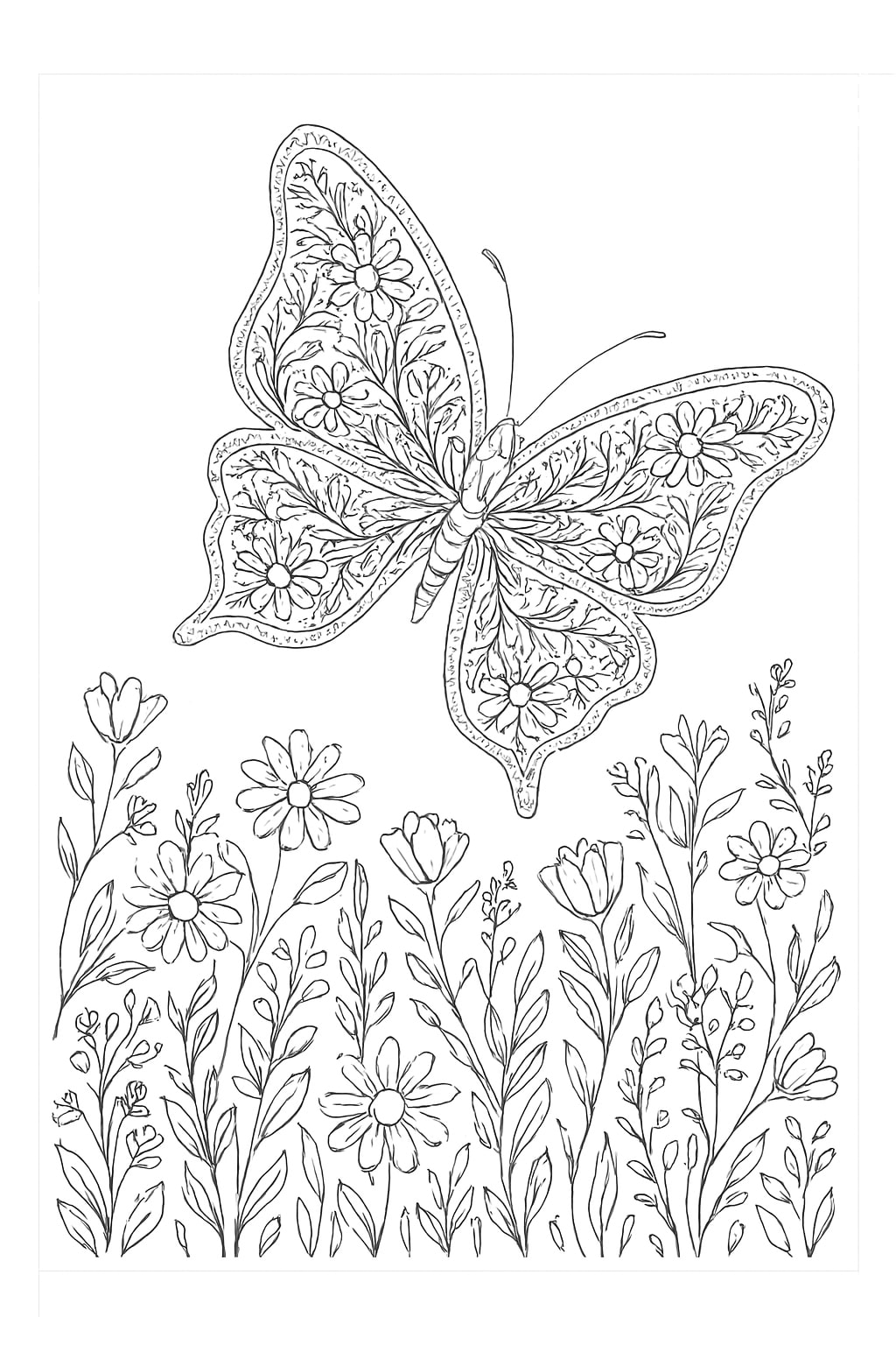 Butterfly Coloring pages