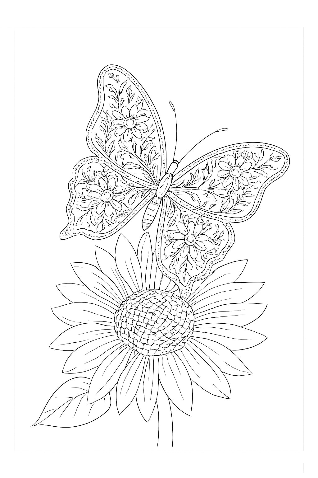 Butterfly Coloring pages