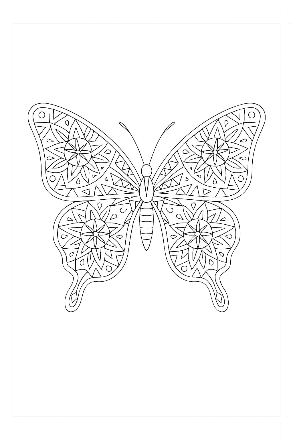 Butterfly Coloring pages