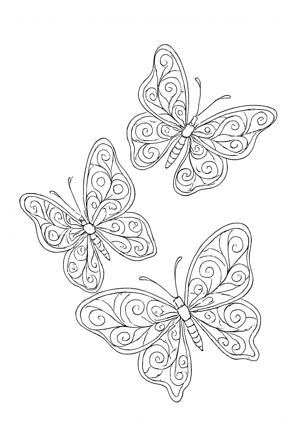 Butterfly Coloring pages