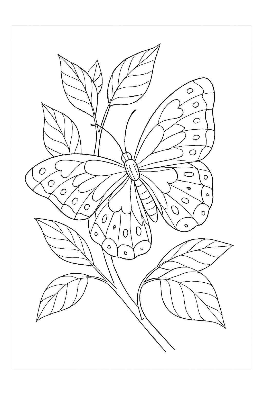 Butterfly Coloring pages