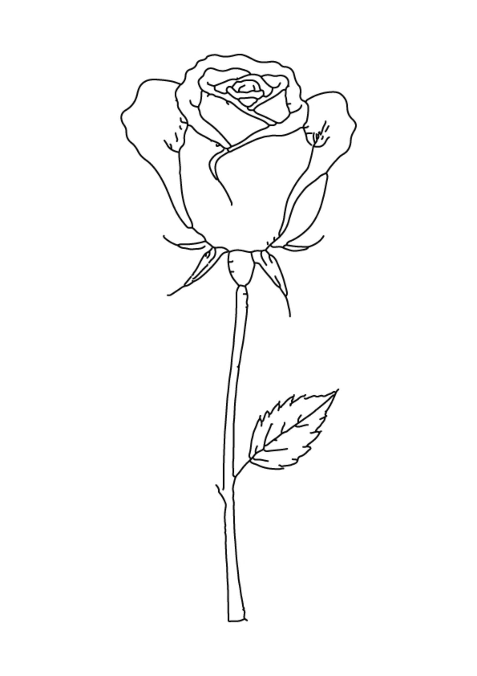 Flower Coloring Pages