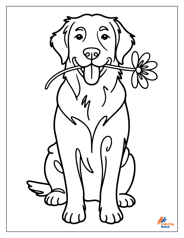 Adorable Retriever dog coloring pages